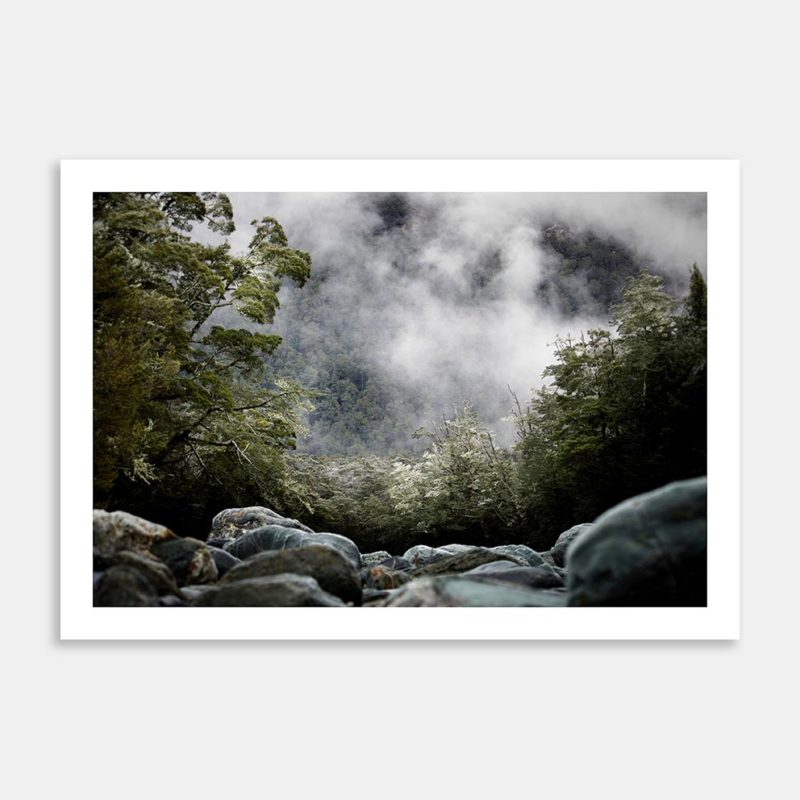The Secrets Of Life Art Print By Harry Shelswell