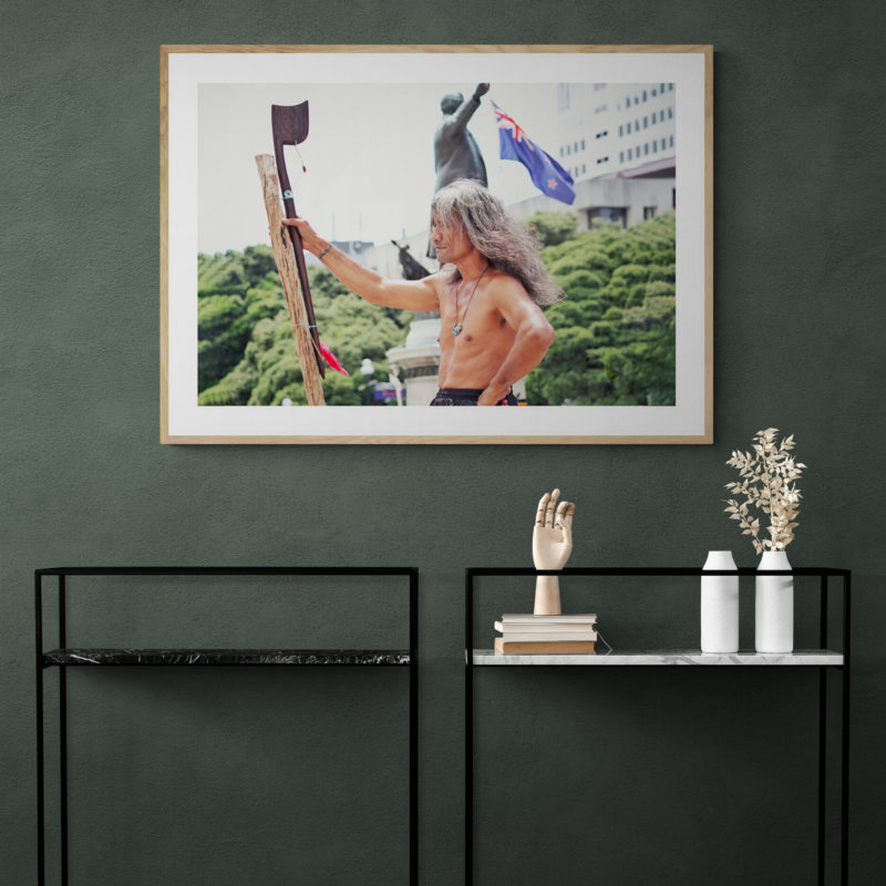 Pride Of New Zealand Art Print By Harry Shelswell - Image 3
