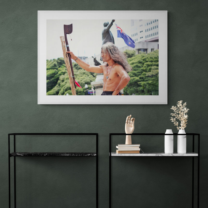 Pride Of New Zealand Art Print By Harry Shelswell - Image 4