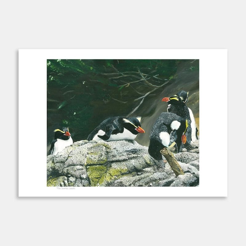 The Snares Locals Art Print By Cassie Newman