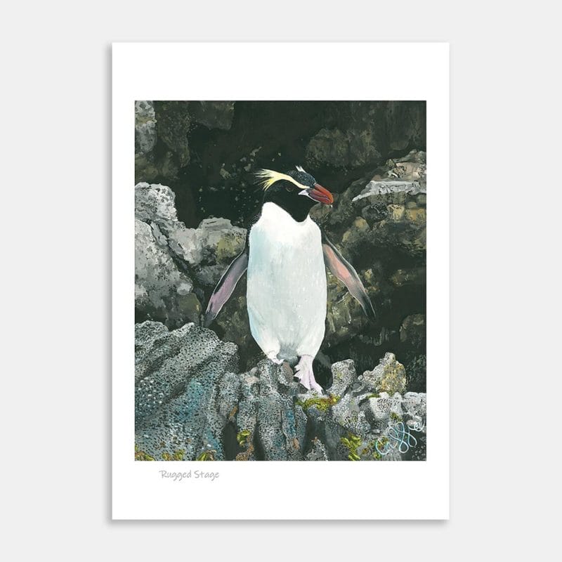 Rugged Stage Art Print By Cassie Newman