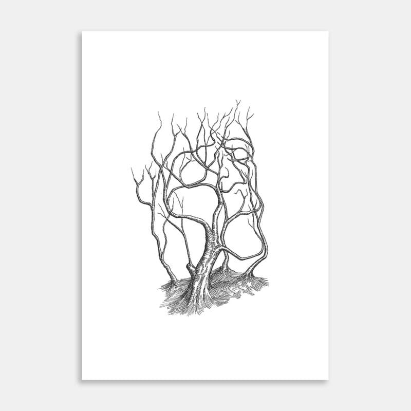 Natures Visage Art Print By William Lampen-Smith