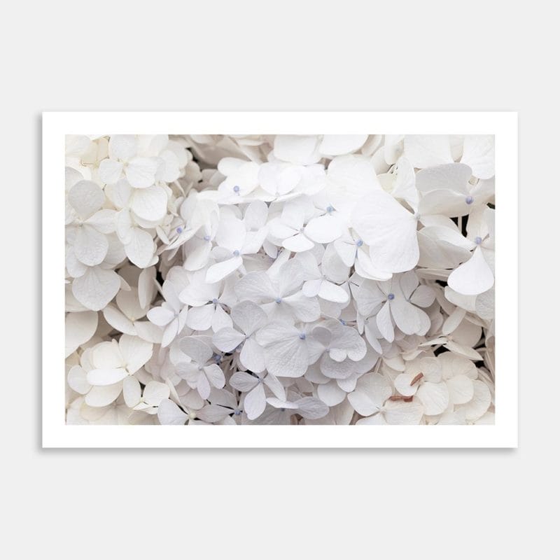 Costa Merlata 3 Art Print By Jana Hands