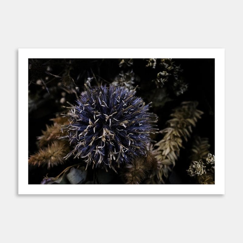 Fleur Art Print By Jana Hands