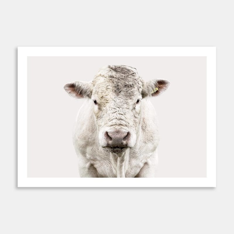 Joe Art Print By Jana Hands