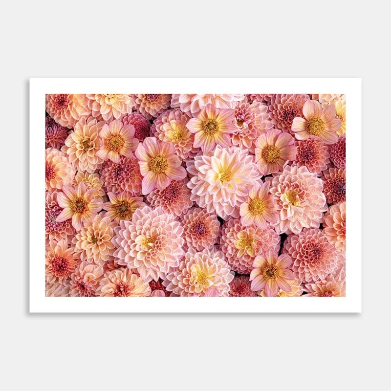 Windwoods Dream Art Print By Jana Hands