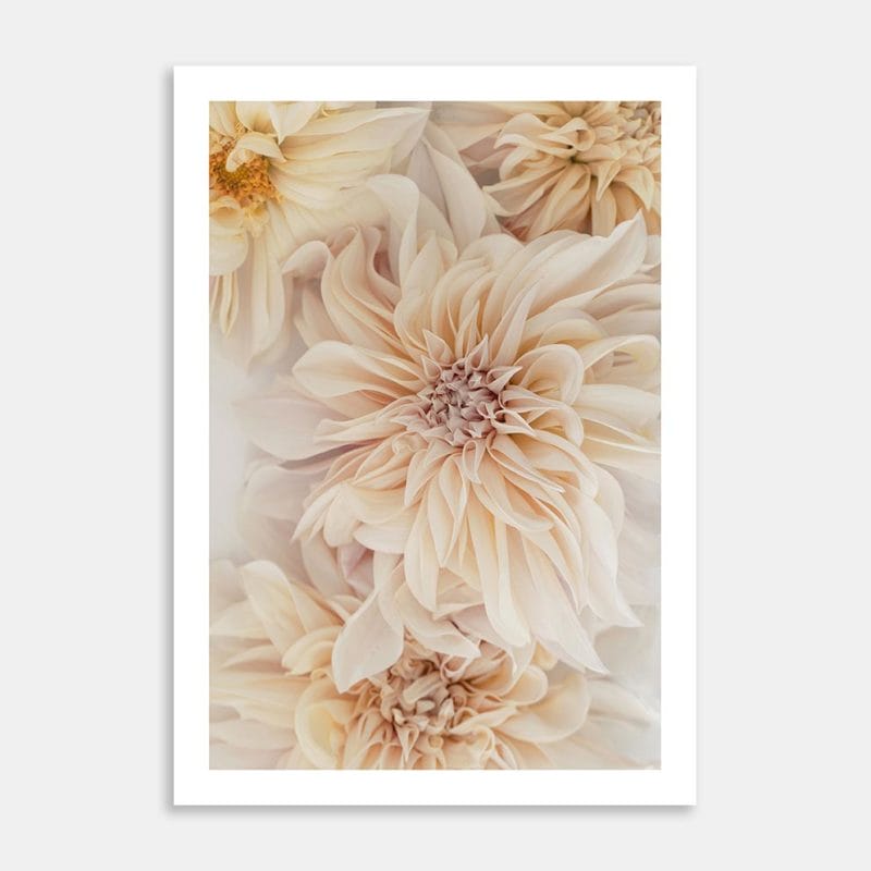 Cafe au Lait 2 Art Print By Jana Hands