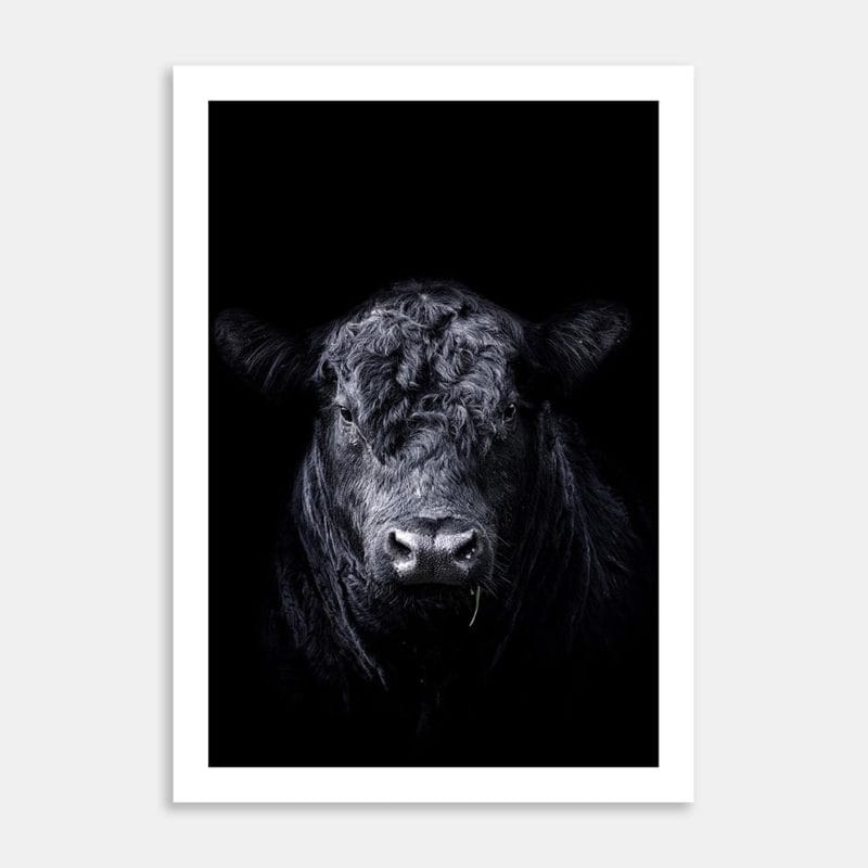 Harry Art Print By Jana Hands