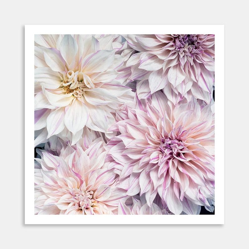 Fusion 2 Art Print By Jana Hands