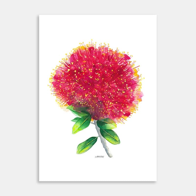 Pohutukawa Art Print By Matt Coates