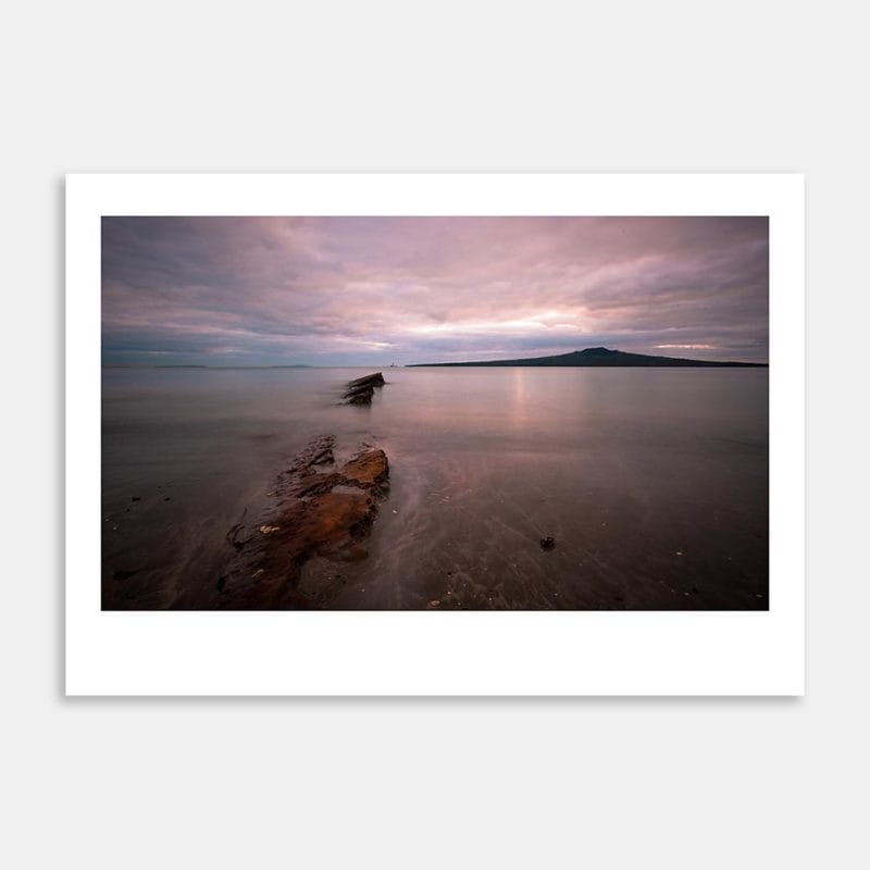 Narrow Neck Art Print By Vernon Brocas