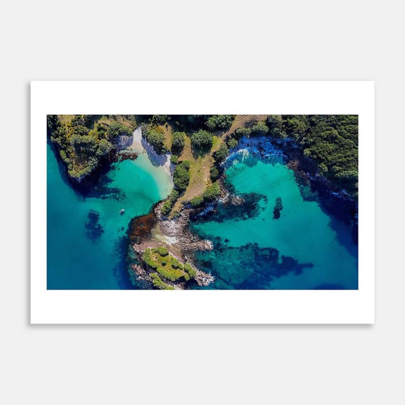 Ahuahu Art Print By Ryan Hansen
