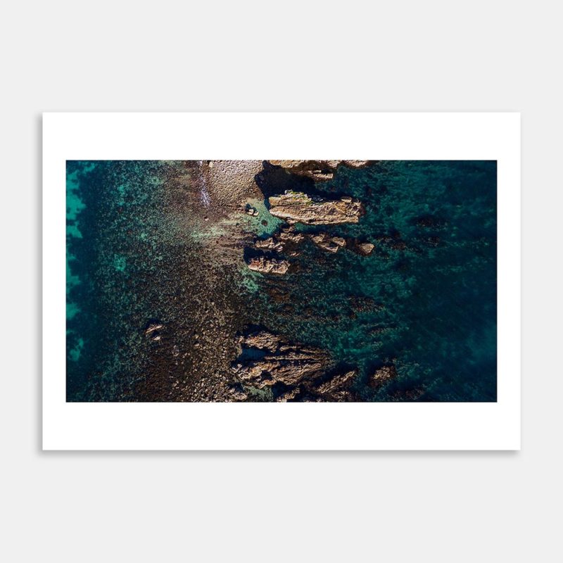 Poikeke Art Print By Ryan Hansen