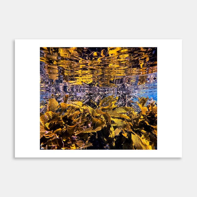 Reflections Art Print By Ryan Hansen