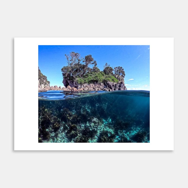 Ohinau Gap Art Print By Ryan Hansen