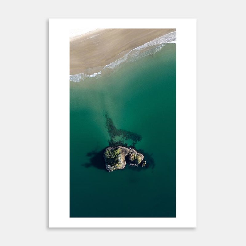 Pungapunga Art Print By Ryan Hansen