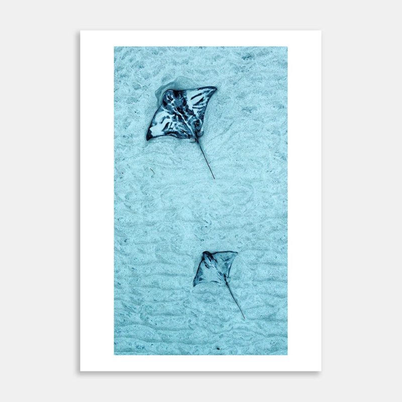 Rays 2-3 Art Print By Ryan Hansen