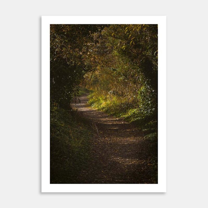 Pathways Art Print By Izzy vd Ploeg