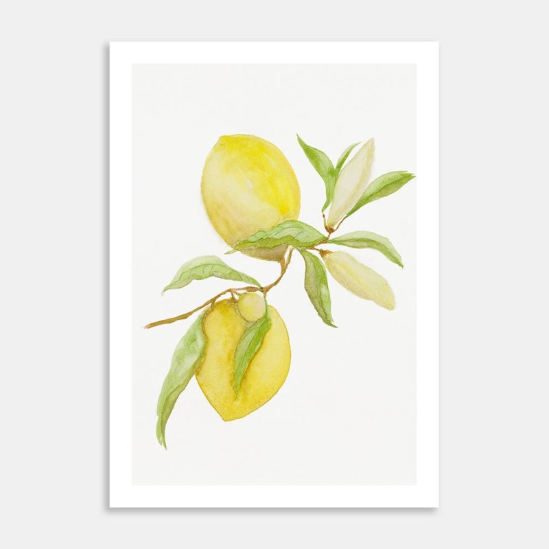 Lovely Lemons for Sue Art Print By Leanne Malcolm