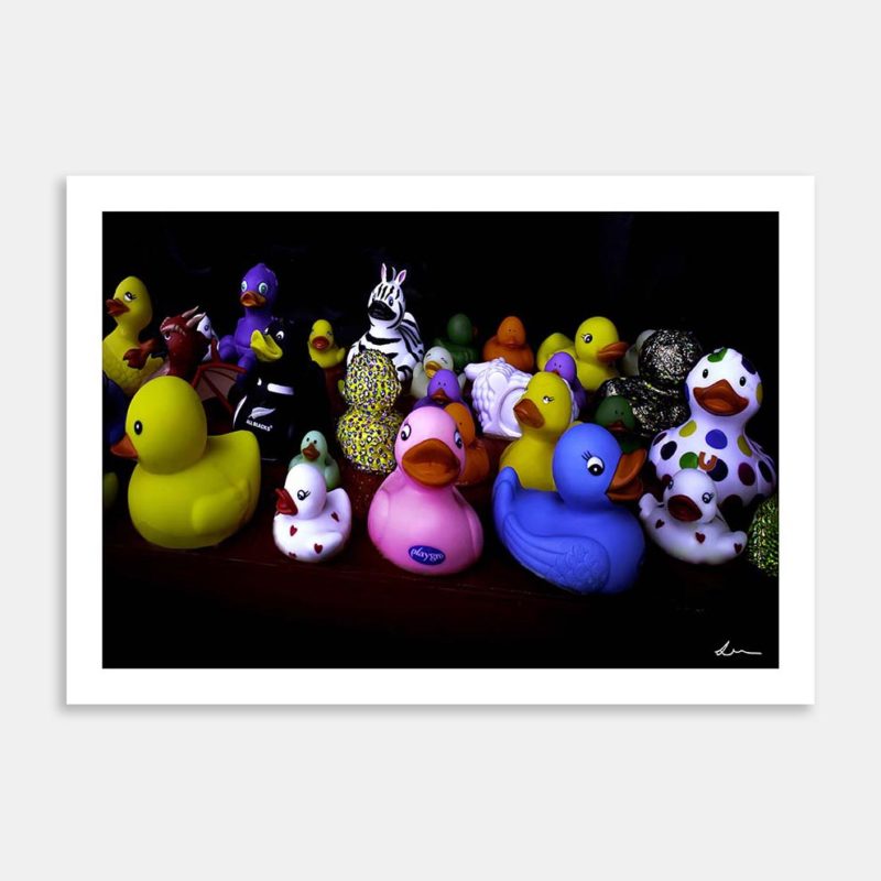 Duck Duck Go Art Print By Lisa Watkins