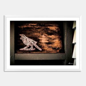 Bungalow Tui Heads Art Print By Lisa Watkins