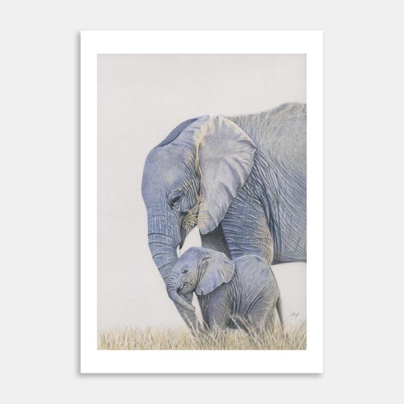 Elephant with Calf Art Print By Joanne Humphries