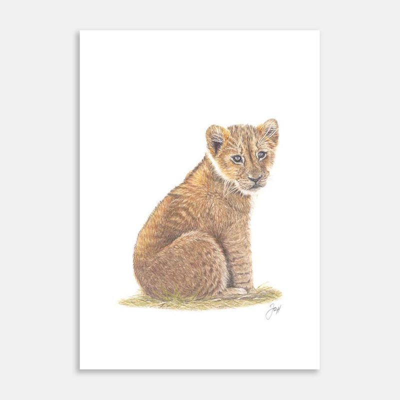 Safari Lion Cub Art Print By Joanne Humphries