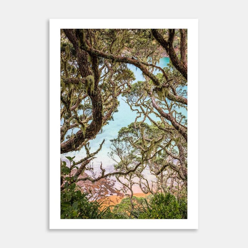 Mahinepua Art Print By Penny Kennedy