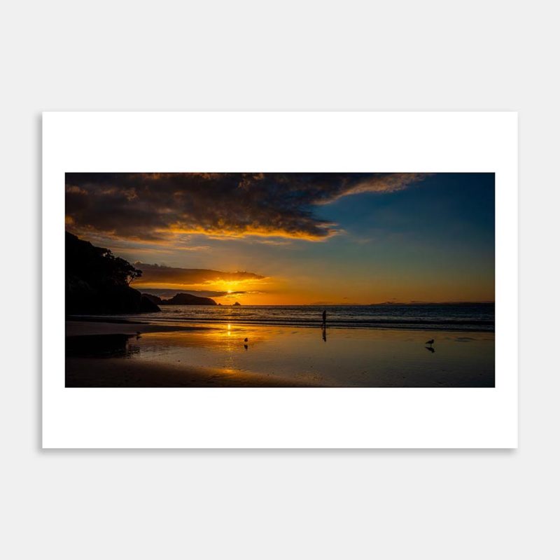 Matauri Bay Art Print By Penny Kennedy