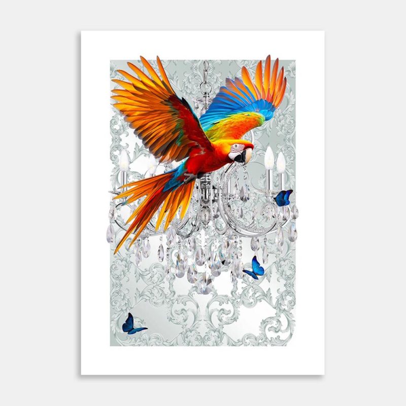 Sunset Flight Art Print By Sue Skellern