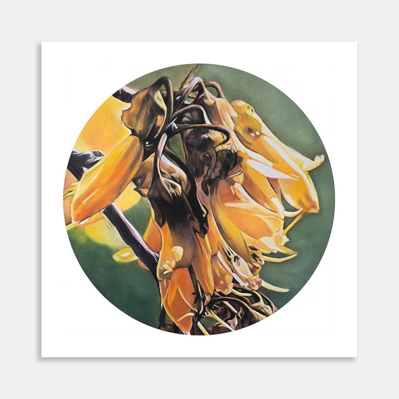Radiance LIMITED EDITION Art Print By Bernadette Ballantyne