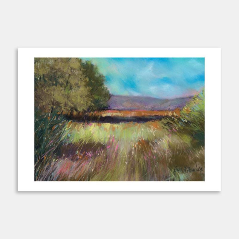 Tararua Range View Art Print By Gill Allen