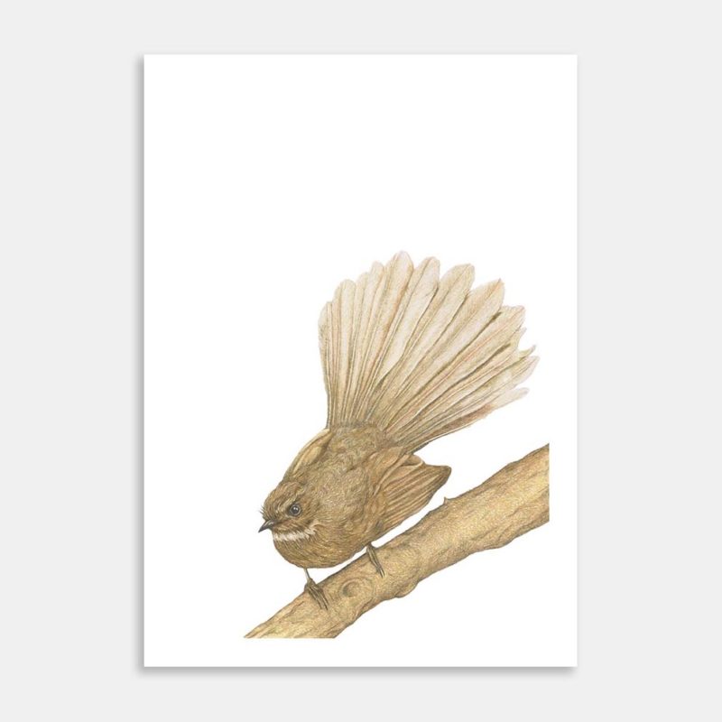 Perched And Poised Art Print By Hannah Kemble
