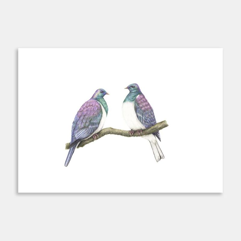 Kereru Pair Art Print By Janine Badger