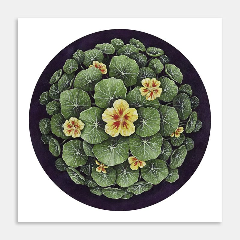Hope Nasturtiums Original Painting by Sue Lockett