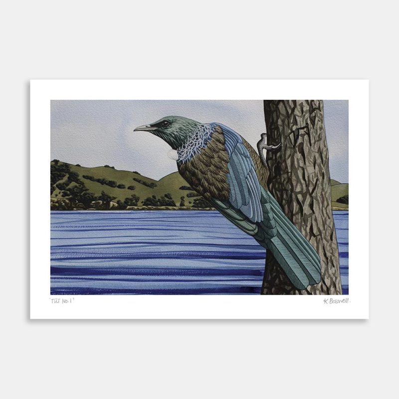 Tui No.1 Art Print by Kate Boswell