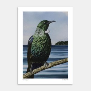 Tui No.2 Art Print by Kate Boswell
