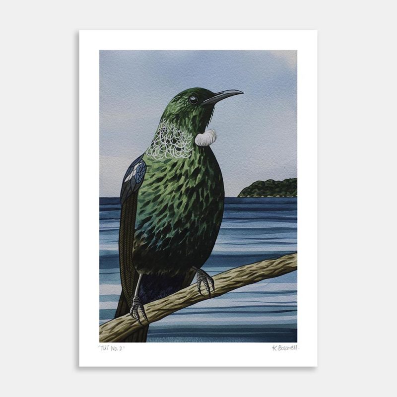Tui No.2 Art Print by Kate Boswell