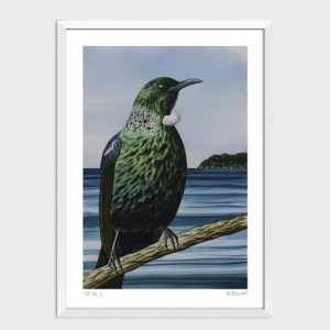 Tui No.2 Art Print by Kate Boswell