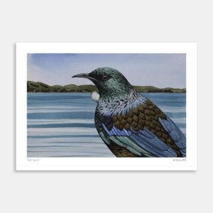 Tui No.4 Art Print by Kate Boswell