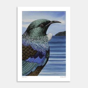 Tui No.5 Art Print by Kate Boswell