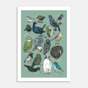 18 Native Birds Art Print By Lesh Creates