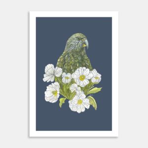 Kea Mt Cook Buttercup Art Print By Lesh Creates