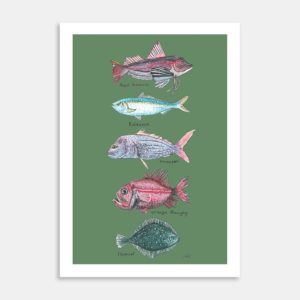 NZ Native Fish Art Print By Lesh Creates
