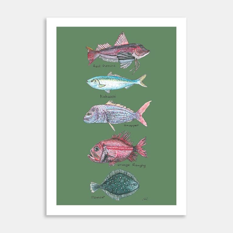 AC-LMCN-NZ Native Fish-MI-P