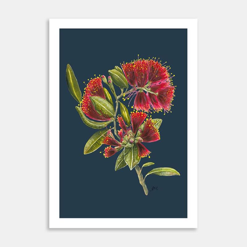 Pohutukawa Portrait Art Print By Lesh Creates