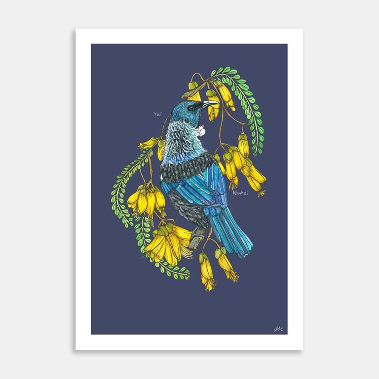 AC-LMCN-Tui & Kowhai-MI-P