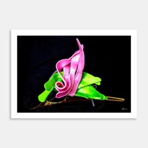 Dinner Lily Art Print By Lisa Watkins
