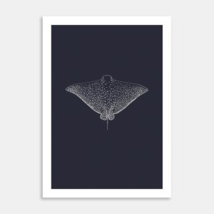 Eagle Ray Limited Edition Art Print By Jennifer Greengrass