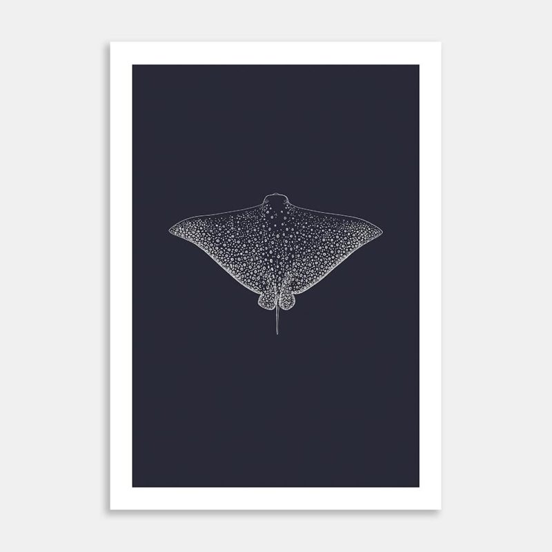 Eagle Ray Limited Edition Art Print By Jennifer Greengrass